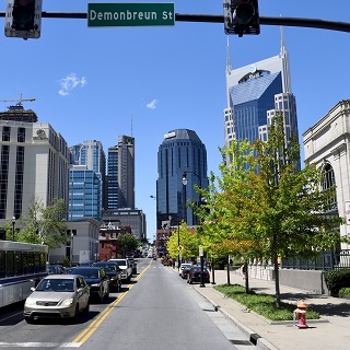 Nashville-Davidson (TN)